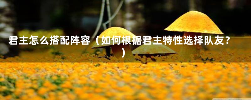 君主怎么搭配阵容(如何根据君主特性选择队友?)
