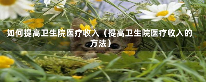 如何提高卫生院医疗收入(提高卫生院医疗收入的方法)