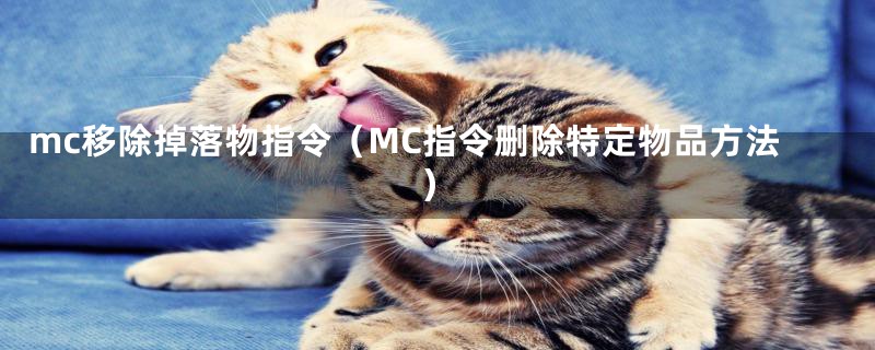 mc移除掉落物指令(MC指令删除特定物品方法)