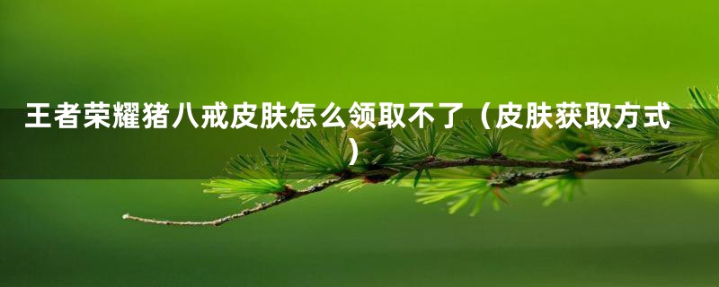 王者荣耀猪八戒皮肤怎么领取不了(皮肤获取方式)