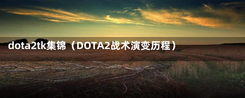 dota2tk集锦(DOTA2战术演变历程)