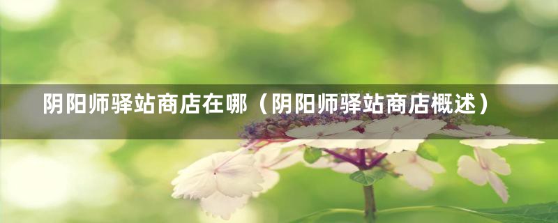 阴阳师驿站商店在哪(阴阳师驿站商店概述)