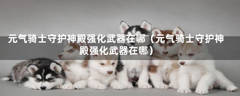 元气骑士守护神殿强化武器在哪(元气骑士守护神殿强化武器在哪)