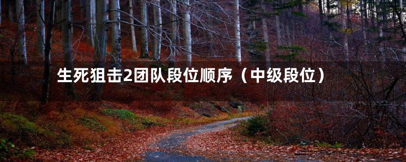 生死狙击2团队段位顺序（中级段位）