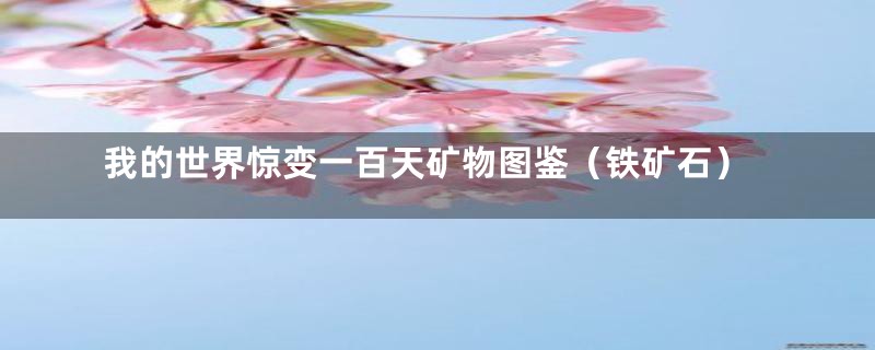 我的世界惊变一百天矿物图鉴(铁矿石)