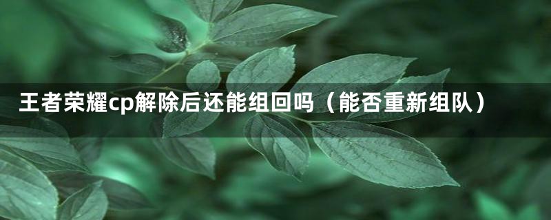 王者荣耀cp解除后还能组回吗（能否重新组队）