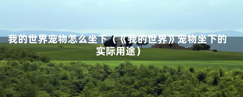 我的世界宠物怎么坐下(《我的世界》宠物坐下的实际用途)