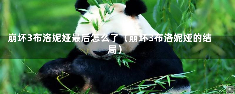 崩坏3布洛妮娅最后怎么了（崩坏3布洛妮娅的结局）