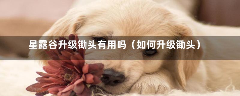 星露谷升级锄头有用吗（如何升级锄头）