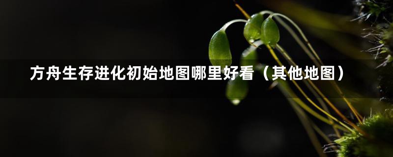 方舟生存进化初始地图哪里好看（其他地图）