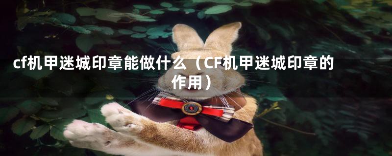 cf机甲迷城印章能做什么(CF机甲迷城印章的作用)