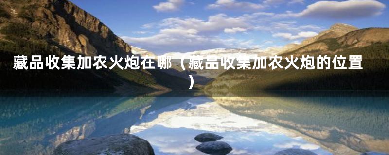 藏品收集加农火炮在哪(藏品收集加农火炮的位置)