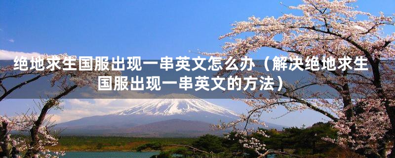 绝地求生国服出现一串英文怎么办（解决绝地求生国服出现一串英文的方法）