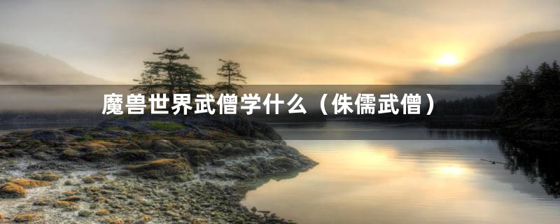 魔兽世界武僧学什么(侏儒武僧)
