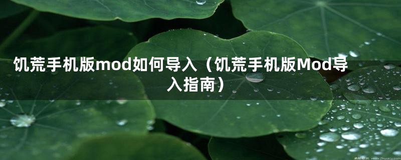 饥荒手机版mod如何导入(饥荒手机版Mod导入指南)