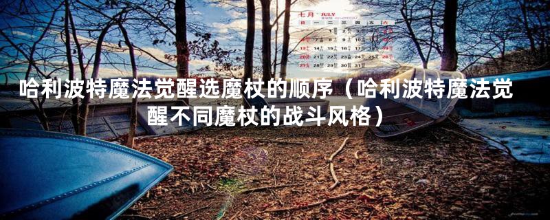 哈利波特魔法觉醒选魔杖的顺序(哈利波特魔法觉醒不同魔杖的战斗风格)