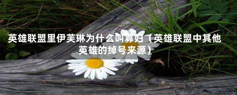 英雄联盟里伊芙琳为什么叫寡妇(英雄联盟中其他英雄的绰号来源)
