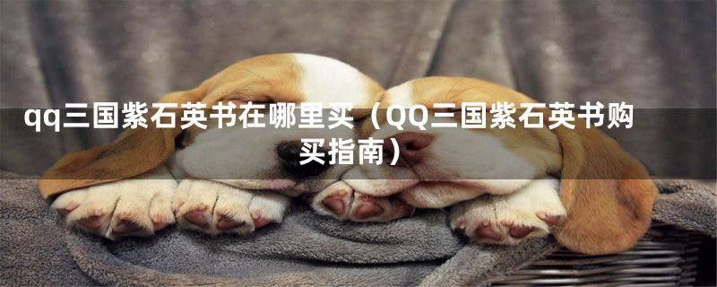 qq三国紫石英书在哪里买（QQ三国紫石英书购买指南）