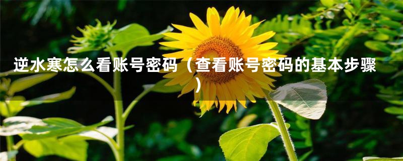 逆水寒怎么看账号密码(查看账号密码的基本步骤)
