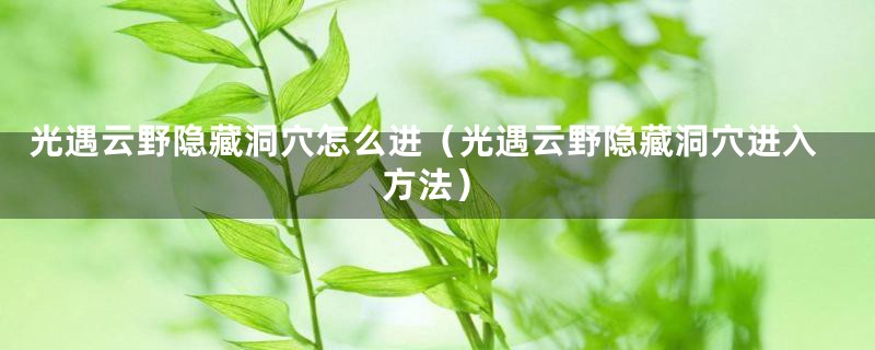 光遇云野隐藏洞穴怎么进(光遇云野隐藏洞穴进入方法)