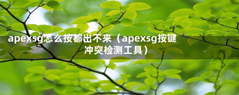 apexsg怎么按都出不来(apexsg按键冲突检测工具)