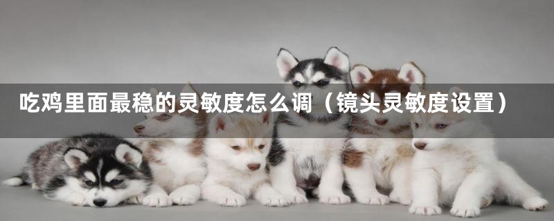 吃鸡里面最稳的灵敏度怎么调(镜头灵敏度设置)