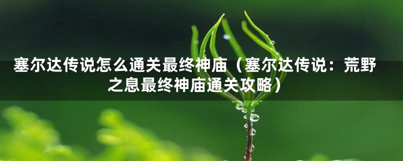 塞尔达传说怎么通关最终神庙（塞尔达传说：荒野之息最终神庙通关攻略）