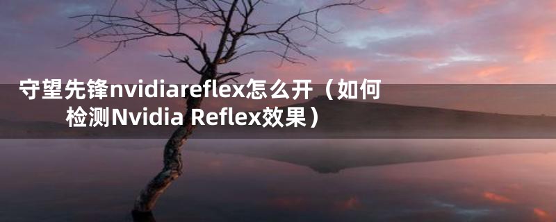 守望先锋nvidiareflex怎么开(如何检测Nvidia Reflex效果)
