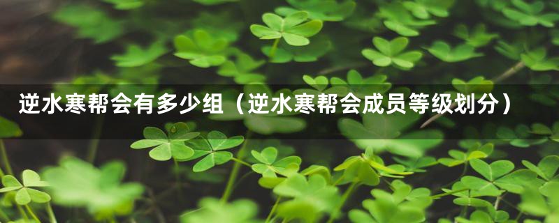 逆水寒帮会有多少组(逆水寒帮会成员等级划分)