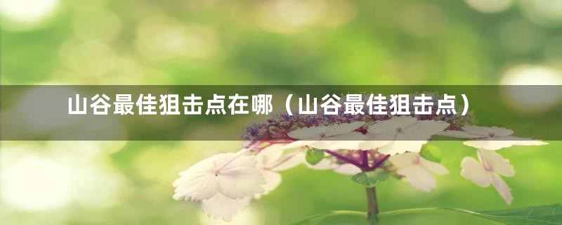 山谷最佳狙击点在哪(山谷最佳狙击点)