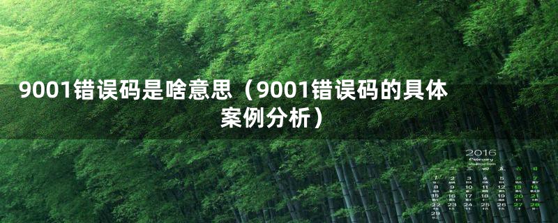 9001错误码是啥意思(9001错误码的具体案例分析)
