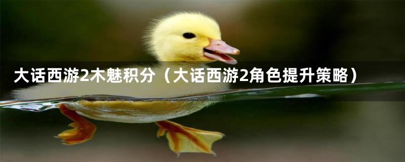 大话西游2木魅积分(大话西游2角色提升策略)