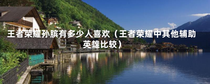 王者荣耀孙膑有多少人喜欢(王者荣耀中其他辅助英雄比较)
