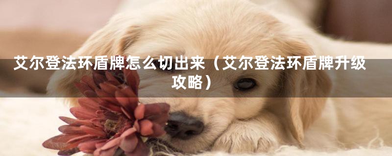 艾尔登法环盾牌怎么切出来(艾尔登法环盾牌升级攻略)