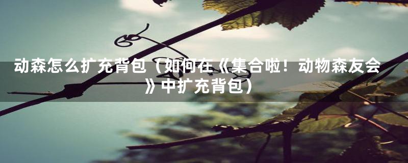 动森怎么扩充背包(如何在《集合啦!动物森友会》中扩充背包)