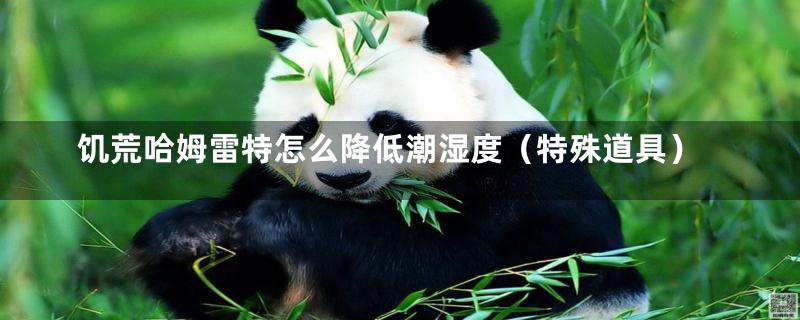 饥荒哈姆雷特怎么降低潮湿度(特殊道具)