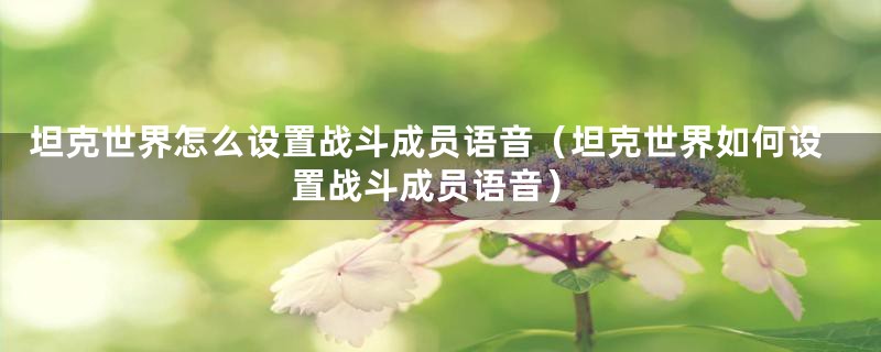 坦克世界怎么设置战斗成员语音(坦克世界如何设置战斗成员语音)