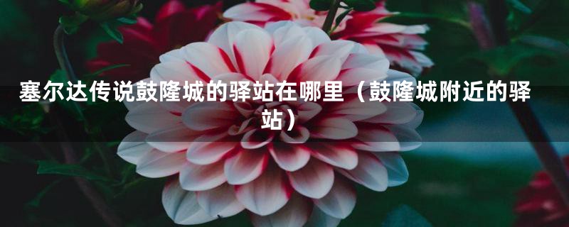 塞尔达传说鼓隆城的驿站在哪里(鼓隆城附近的驿站)