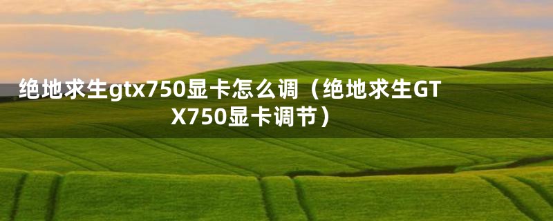 绝地求生gtx750显卡怎么调(绝地求生GTX750显卡调节)