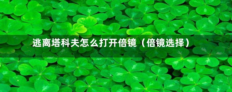 逃离塔科夫怎么打开倍镜(倍镜选择)