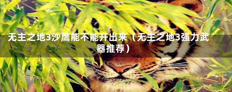 无主之地3沙鹰能不能开出来(无主之地3强力武器推荐)