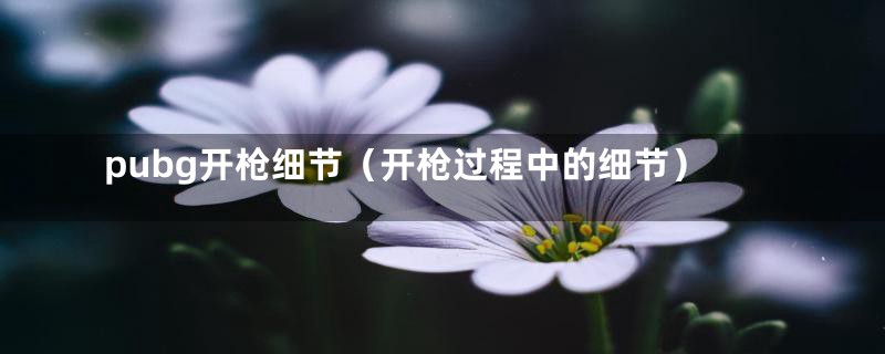 pubg开枪细节(开枪过程中的细节)