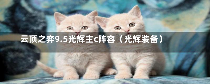 云顶之弈9.5光辉主c阵容(光辉装备)