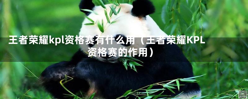 王者荣耀kpl资格赛有什么用(王者荣耀KPL资格赛的作用)