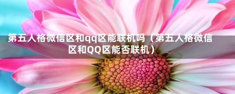 第五人格微信区和qq区能联机吗(第五人格微信区和QQ区能否联机)