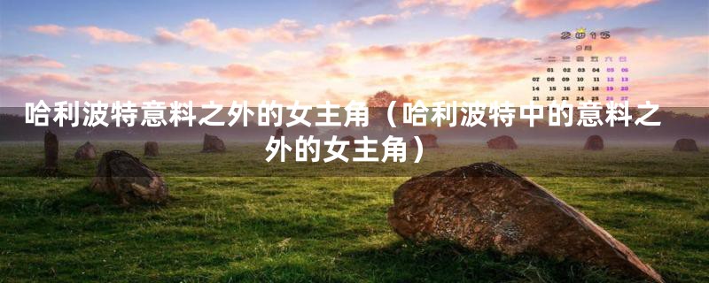 哈利波特意料之外的女主角(哈利波特中的意料之外的女主角)