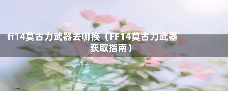 ff14莫古力武器去哪换（FF14莫古力武器获取指南）