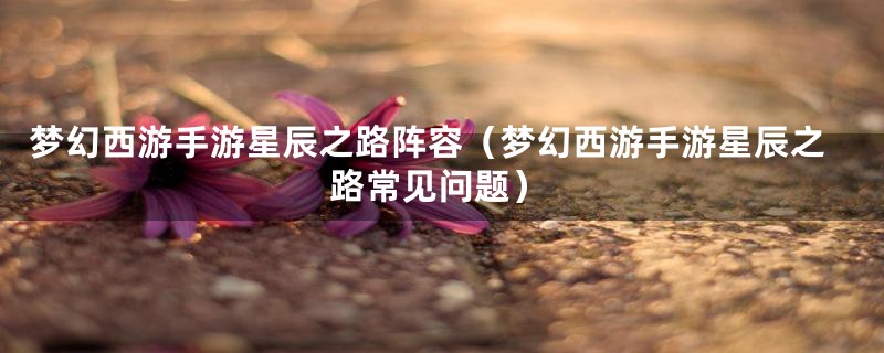 梦幻西游手游星辰之路阵容(梦幻西游手游星辰之路常见问题)