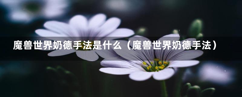 魔兽世界奶德手法是什么（魔兽世界奶德手法）
