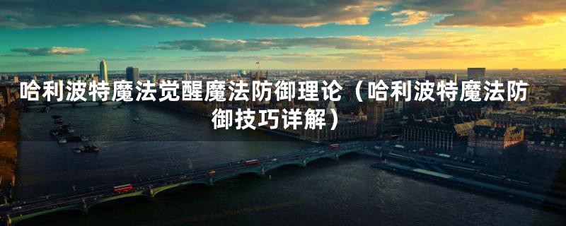 哈利波特魔法觉醒魔法防御理论(哈利波特魔法防御技巧详解)
